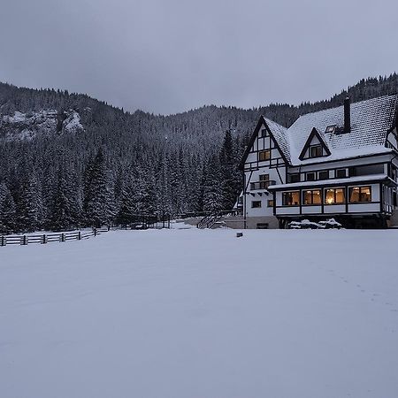 Chalet Alpina Moroeni Zewnętrze zdjęcie