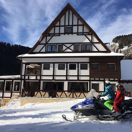 Chalet Alpina Moroeni Zewnętrze zdjęcie