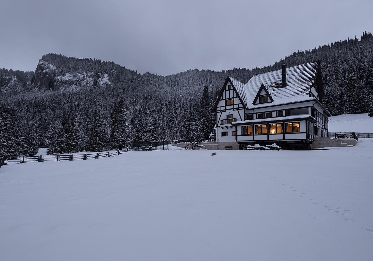 Chalet Alpina Moroeni Zewnętrze zdjęcie